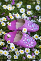 Moroccan slippers and Bellis perennis - Daisies on lawn