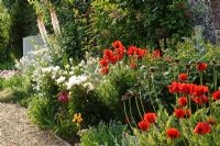 Herbaceous border in walled garden with Paeonia, Iris, Hesperis matronalis var. albiflora, Eremurus himalaicus and Papaver orientale var. bracteatum - Madingley Hall, Cambridge