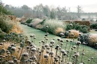 Phlomis seedheads, grasses and Rosmarinus in the Long Border - The Thomas Phillips Price Trust, Marks Hall Estate, Coggeshall