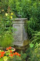 Moss on stone plinth surrounded by Oenothera, Tropaeolum - Nasturtium and Santolina  - Mannington Hall, Norfolk, UK