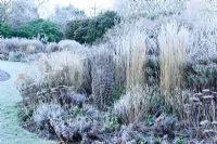 Herbaceous border with frosted stems and seed heads - Cambridge University Botanic Gardens