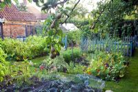 The vegetable garden - The Cottage Smallholder