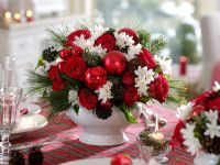 Christmas table arrangement of Rosa, Narcissus 'Ziva', Pinus - Pine cones, Abies - Fir foliage, Hedera - Ivy foliage on a tartan tablecloth

