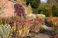 Mixed autumn planting at Winterbourne Botanic Garden