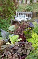 Mixed brassicas and lettuce planted in bed with ornamentals.
