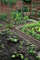 Well designed, compact kitchen garden recently planted with salad leaves, carrots, sweet corn  courgettes and annuals divided up into timber and willow edged beds with chipped bark paths