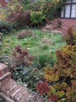 Neglected front garden with dead, brown patches in conifers, lawn tangled and overgrown, rubbish piled against house wall and ivy smothering more delicate plants                               