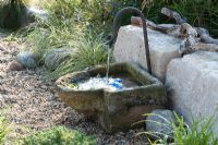 Water feature with basin and spout surrounded by Carex 'Supergold' 
