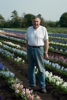 Alan Ship in the Hyacinth fields for bulb production on the fens in Cambridgeshire - The National Collection of Hyacinthus orientalis, March