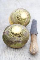 Brassica napus - Swedes on a rustic wooden surface with knife