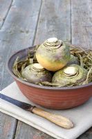 Brassica napus - Swedes in a ceramic bowl protected with raffia, on linen cloth with knife