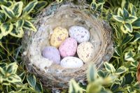 Birds nest with chocolate Easter eggs inside