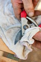 Sharpening secateurs - Cleaning afterwards with a cloth