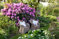 Rhododendron in woodland style border and wicker chairs - Imig-Gerold Garden