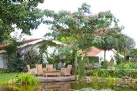 Seating area on deck overlooking pond, planting includes - Albizia julibrissin - Tropical Touch
