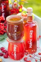 Jams and drinks made from Rosa rugosa - Rose hips