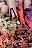 Collection of Indian spices. Nutmeg, Star anise, Cardamom, Cloves, Chilli and Cinnamon 