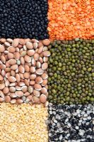 Pulses, seeds, bean and lentil pattern