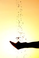 Water sprinkling over a hand holding a flower seedling and soil. Silhouette