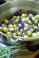 Lavender added to Gooseberries during jam making process
