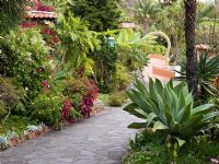 Path through subtropical garden 