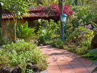 Terracotta paved path through subtropical garden
