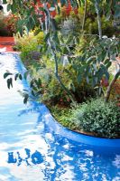 Blue painted pool with Eucalyptus - 'The Australian Garden presented by the Royal Botanic Gardens Melbourne' - Gold Medal Winner, RHS Chelsea Flower Show 2011  