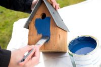 Painting bird house 