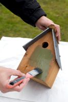 Painting bird house