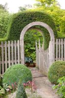 Curved gateway with clipped hedge growing over