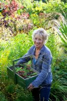 Carol Klein with box of strawberry plants
