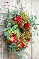 Christmas wreath with Hydrangeas, Eucalyptus, Agapanthus seedheads, chillies, birch and limes