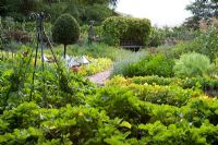 Clipped standard bay trees - The vegetable garden at Ballymaloe Cookery school