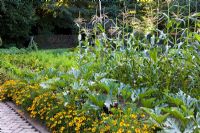Sweetcorn and marigolds lining the path - The vegetable garden at Ballymaloe Cookery school