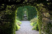 Arches cut into beech hedges leading through gardens at Ballymaloe Cookery school