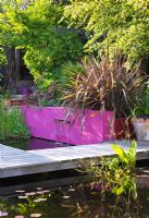 Pool with oak decking, Phormium, bright pink painted wall and letterbox fountain