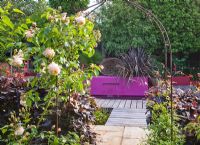 View through metal arch with Rosa past purple Fagus - Beech hedge to pool with pink wall, Phormium and waterfall