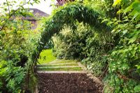 Woodland area with living Willow arch
