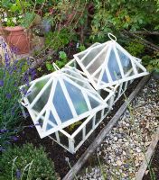 Cloches in potager