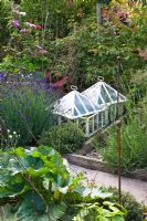 Potager with cloches and Lavandula - Lavender