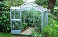 A simple traditional aluminium greenhouse housing vegetables