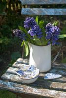 Blue hyacinths in enamel jug