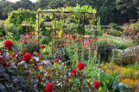 Mixed gourds - Lagenaria - growing over a metal pergola with Dahlia 'Olympic Fire' around the base in the potager at De Boschhoeve.