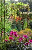 Mixed gourds - Lagenaria - growing over a metal pergola with Dahlia 'Olympic Fire' around the base in the potager at De Boschhoeve. Dahlia 'Sayonara' in the foreground