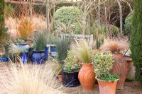 Winter patio with Stipa tenuissima,Juncus patens 'Carmans Gray', Carex buchananii 'Red Rooster' and Euonymus japonicus