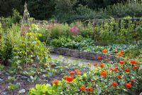 The vegetable garden at Perch Hill in autumn.