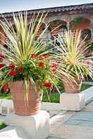 Cordyline and Pelargonium in containers in The Spanish Garden at The Roof Gardens, Kensington