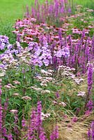 Echinacea purpurea, Lythrum salicaria, Eupatorium canabinum, Phlox paniculata 'Eventide', Stipa tennuissima - Foggy Bottom, The Bressingham Gardens, July