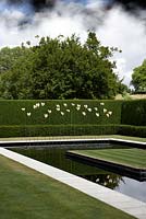 The New Water Garden at Kiftsgate Court Gardens, with sculptor, Simon Allison's gilded bronze philodendron leaves on stainless steel stems.  Pool surrounded by mown lawn and clipped yew hedging.