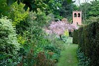 Borders with Tamarix gallica and Euphorbia griffithii 'Fireglow' - Stone House Cottage Garden, Kidderminster